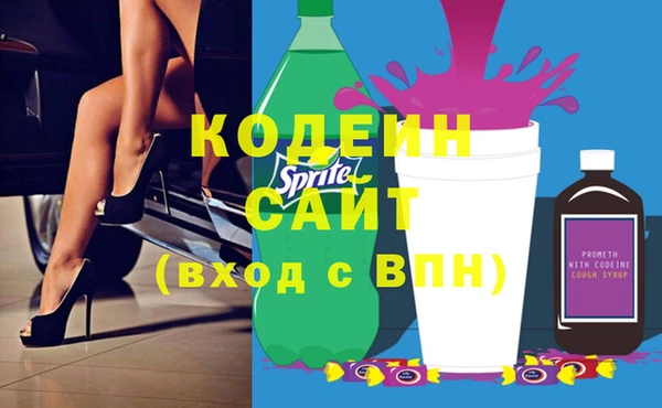 соль ск Инсар