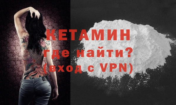 прущие грибы Барнаул