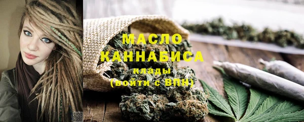 соль ск Инсар