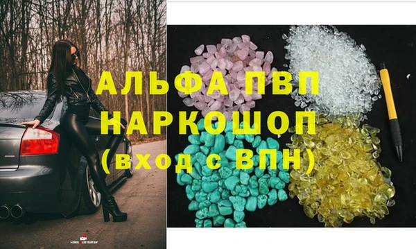 соль ск Инсар