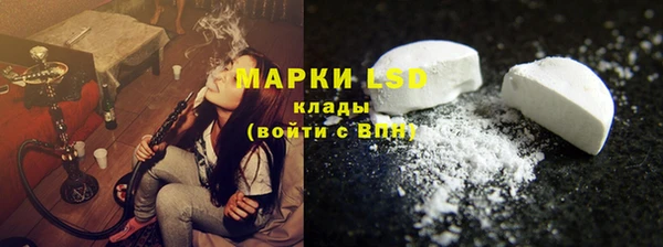 индика Зеленокумск