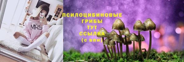 бошки Инта