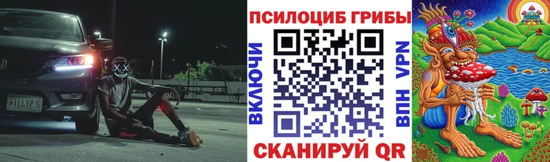 Псилоцибиновые грибы Magic Shrooms  сайты даркнета как зайти  Славск 